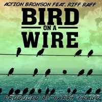 Purchase Action Bronson - Bird On A Wire (CDS)