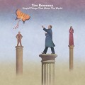 Buy Tim Bowness - Stupid Things That Mean The World Mp3 Download
