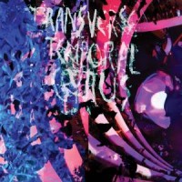 Purchase Animal Collective - Transverse Temporal Gyrus (EP)