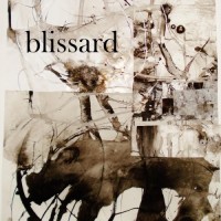 Purchase Blissard - Blissard