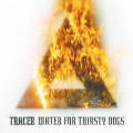 Buy Tracer - Water For Thirsty Dogs Mp3 Download