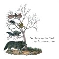 Buy Advance Base - Nephew In The Wild Mp3 Download