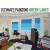 Buy Ultimate Painting - Green Lanes Mp3 Download