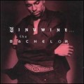 Buy Ginuwine - The Bachelor (Deluxe Edition 1999) CD1 Mp3 Download