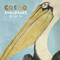 Buy Cosmo Sheldrake - Pelicans We (EP) Mp3 Download