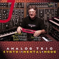 Purchase Analog Trio - Synthi Mental Moog