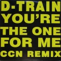 Buy D-Train - You're The One For Me (MCD) Mp3 Download