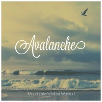 Purchase Mead Lake's Most Wanted - Avalanche