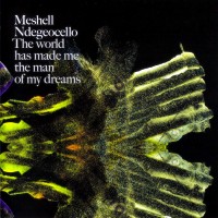 Purchase Meshell Ndegeocello - The World Has Made Me The Man Of My Dreams