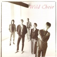 Purchase Gail Davies - Wild Choir (Vinyl)