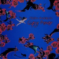 Purchase Steven Anderson - Gypsy Power