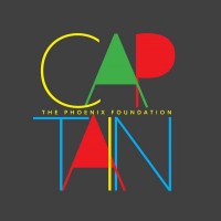 Purchase The Phoenix Foundation - The Captain (CDS)