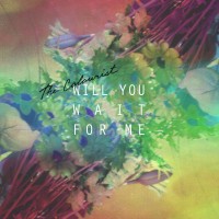 Purchase The Colourist - Will You Wait For Me (EP)