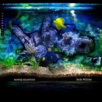 Purchase Rick Wilhite - Analog Aquarium