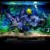 Buy Rick Wilhite - Analog Aquarium Mp3 Download