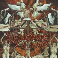 Purchase Incinerate - Dissecting The Angels