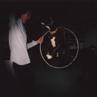 Purchase Slow Club - The Dog (EP)