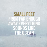Purchase Small Feet - From Far Enough Away Everything Sounds Like The Oce