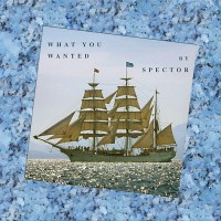 Purchase Spector - What You Wanted (CDS)