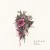 Buy Roman Scott - Heart Of Hibiscus Mp3 Download