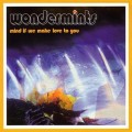 Buy Wondermints - Mind If We Make Love To You Mp3 Download