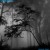 Buy Echodrome - Leaving Trails Mp3 Download