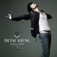 Purchase Im Tae Kyung - 2012 Masterpiece Vol.1