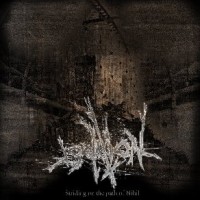 Purchase Isolation - Striding On The Path Of Nihil