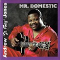 Buy Andrew 'jr. Boy' Jones - Mr. Domestic Mp3 Download