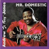 Purchase Andrew 'jr. Boy' Jones - Mr. Domestic