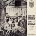 Buy The New Lost City Ramblers - String Band Instrumentals (Vinyl) Mp3 Download