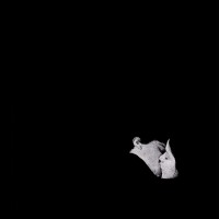 Purchase Bob Moses - Days Gone By
