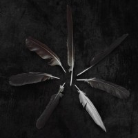 Purchase Caspian - Dust And Disquiet