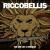 Buy Riccobellis - We Are On A Mission Mp3 Download