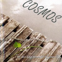 Purchase Cosmos - The Deciding Moments Of Your Life