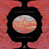 Purchase Blackbird Blackbird - Strawberry Light