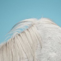 Purchase Widowspeak - All Yours