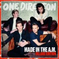 Buy One Direction - Made In The Am (Deluxe Edition) Mp3 Download