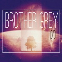 Purchase Brother Grey - Evo