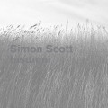 Buy Simon Scott - Insomni Mp3 Download