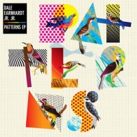 Purchase Dale Earnhardt Jr. Jr. - Patterns (CDS)