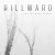 Buy Hillward - Flies In Amber Stones Mp3 Download
