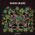 Buy Black Lillies - Black Lillies Mp3 Download