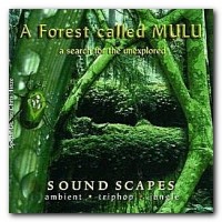 Purchase Chris Hinze - A Forest Called Mulu - A Serach For The Unexplored