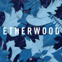 Purchase Etherwood - Blue Leaves