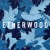 Buy Etherwood - Blue Leaves Mp3 Download