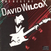 Purchase David Wilcox (Canada) - The Best Of David Wilcox