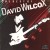 Buy David Wilcox (Canada) - The Best Of David Wilcox Mp3 Download