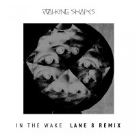 Purchase Walking Shapes - In The Wake (Lane 8 Remix) (CDS)