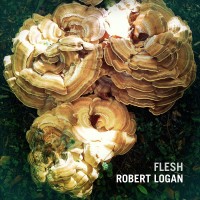 Purchase Robert Logan - Flesh